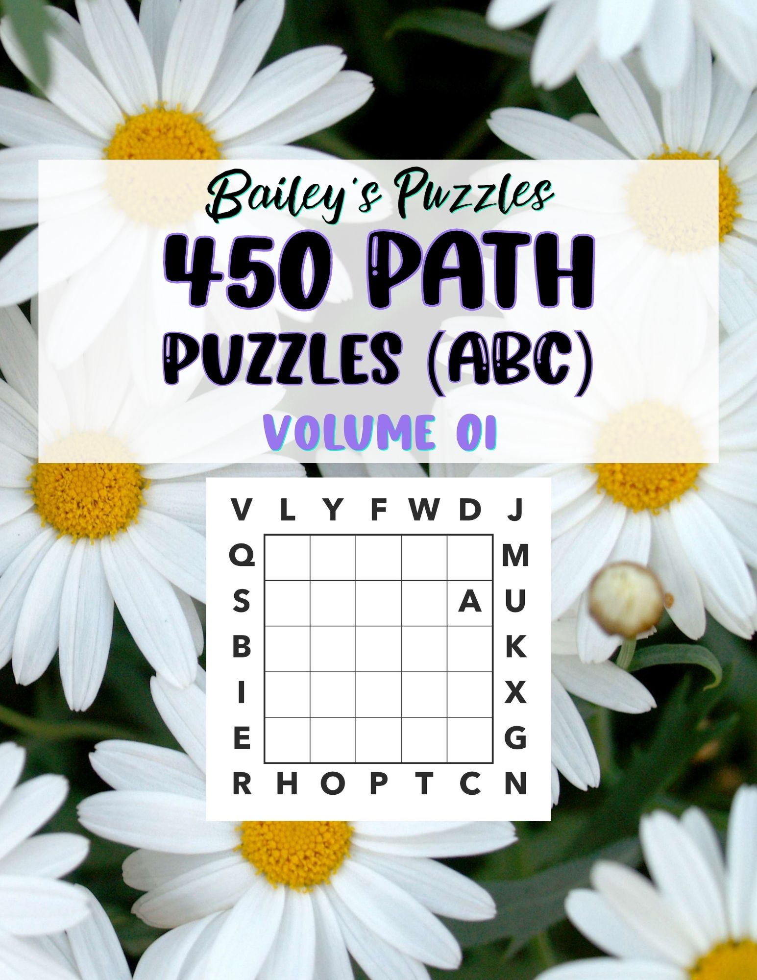 Front Cover - 450 Path Puzzles (ABC) volume 01