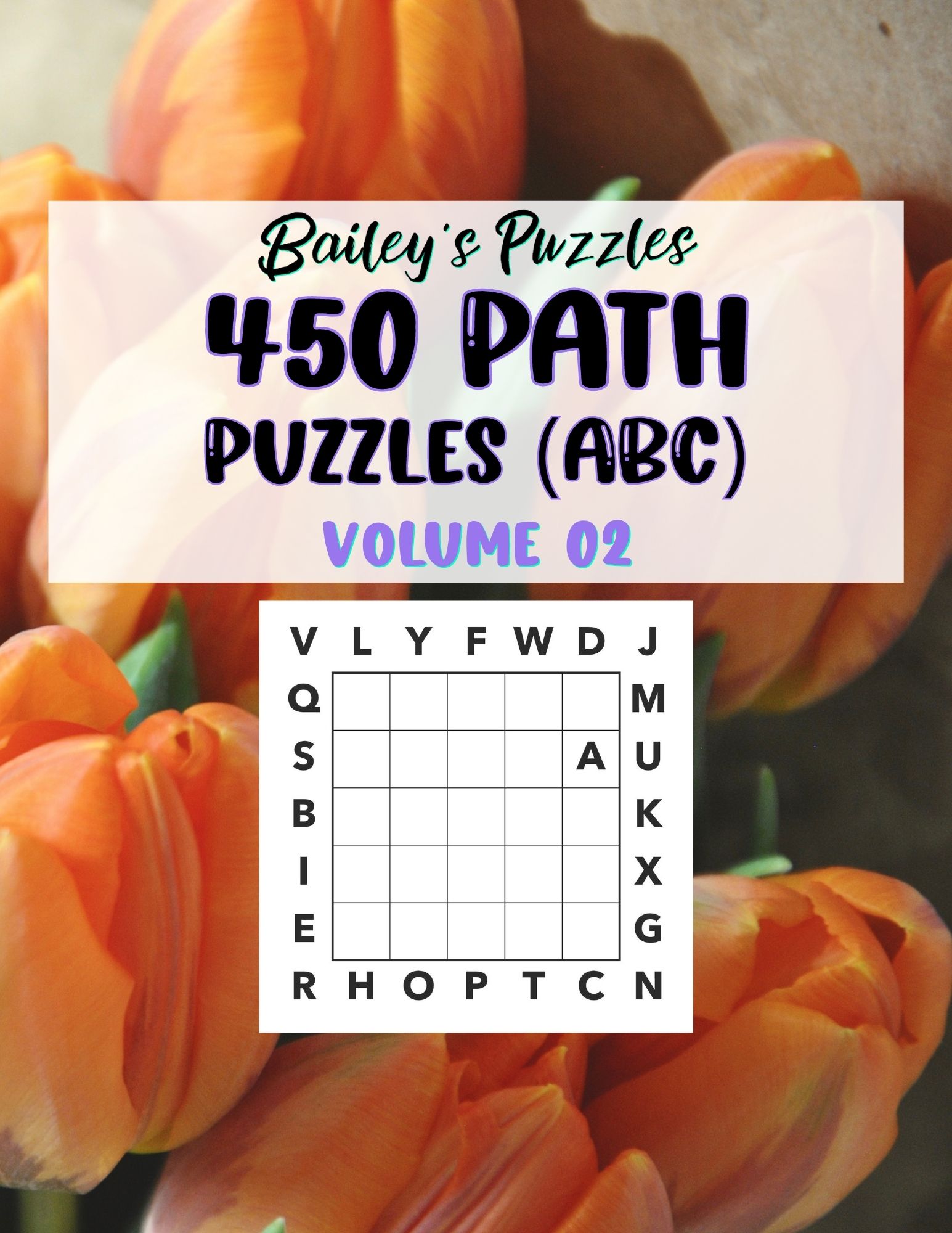 Front Cover - 450 Path Puzzles (ABC) volume 02